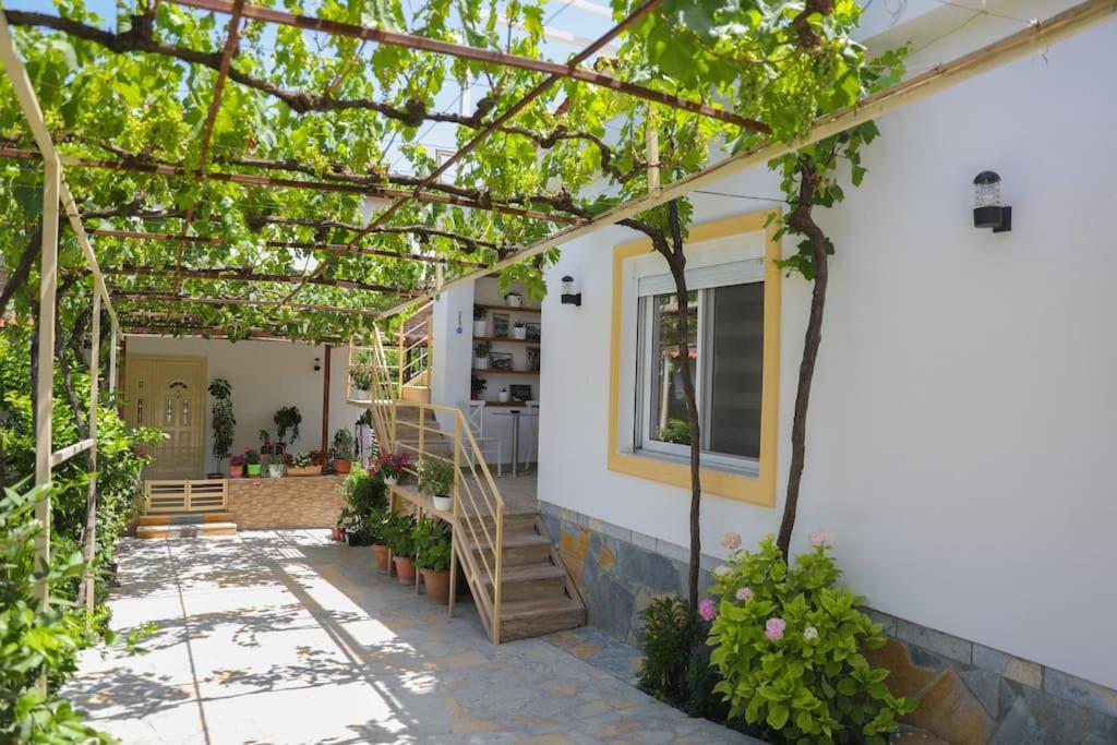 Cereni Guesthouse Берат Экстерьер фото